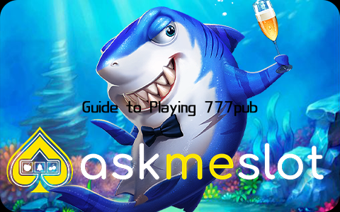 Guide to Playing 777pub Apk